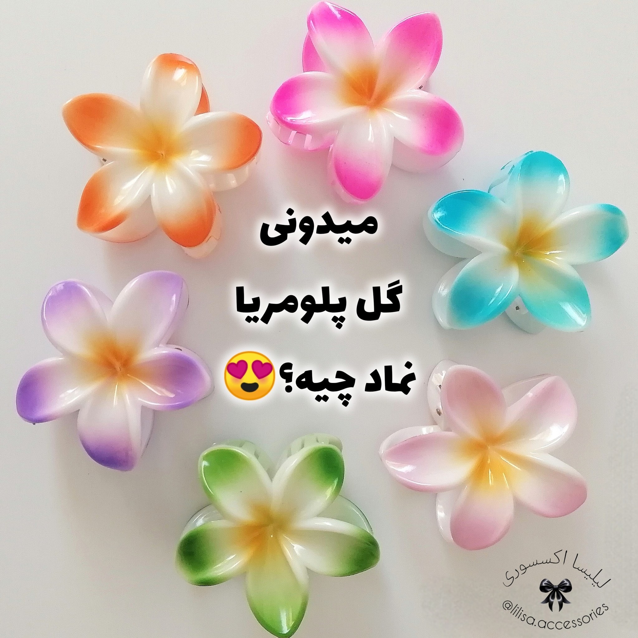 کلیپس گل پلومریا سایز بزرگ
